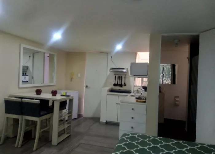 Lovely Loft At The Business Heart Of Apartment Mexico City
